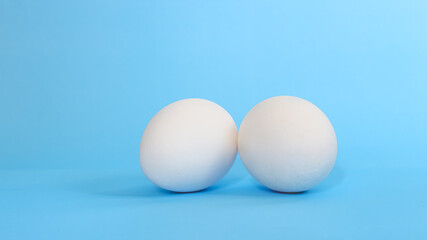Organic chicken eggs isolated on blue background.