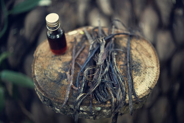Closeup of a jar of vanilla extract and vanilla pods on a stump in the jungle of Sri Lanka.