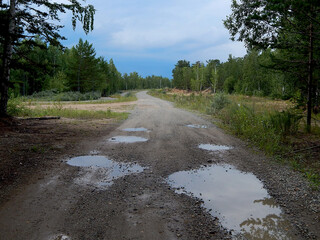 The road in the forest after the rain. Puddles.