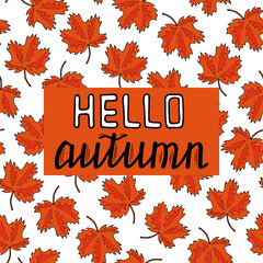 Lettering Hello Autumn. Red maple leaves. Hand drawing. Vector illustration. White background.