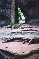 View of the Sigiriya rock in Sri Lanka. Surroundings and rock in Sigiriya.