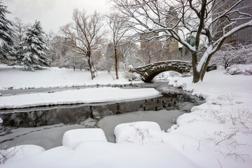 Gapstow-brug in Central Park
