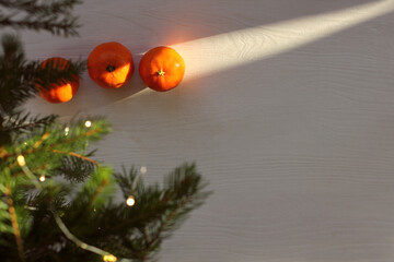 sunbeam falls on tangerines lying on the table under the Christmas tree top view. holiday ray of...