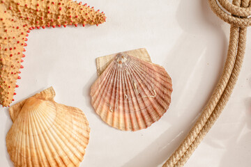Seafood on a background of sand. Background about sea, ocean or tourism. About sailors, captains,...