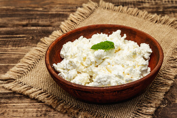Organic homemade cottage cheese or curd in bowl