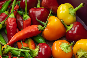 group of peppers bright and tasty pod red and orange background closeup