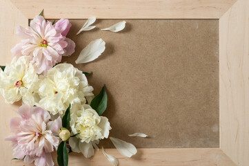 Peonies Flat lay. Beautiful peony flower for any holiday. Greeting card. 