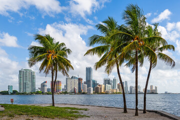 Miami, Florida, USA Tropical Downtown Skyline