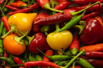 assorted hot peppers orange, yellow and red on a background of chili pods