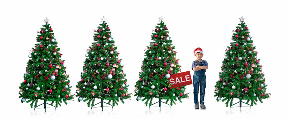Asian child boy and Christmas tree for sale and discount tag on white background