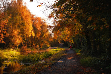 Boyne valley trails in autumn