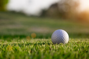 golf ball is on a green lawn in a beautiful golf course