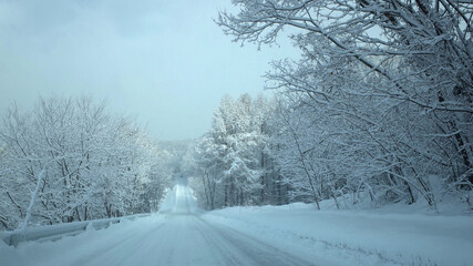 Fototapeta premium 積雪の道路