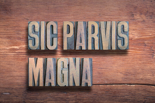 sic parvis magna