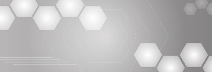 Abstract white and hexagon background. Vector illustration for design.