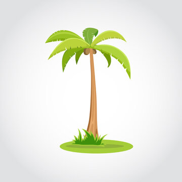 Coconut tree Illustration clipart. Vector Eps. 10