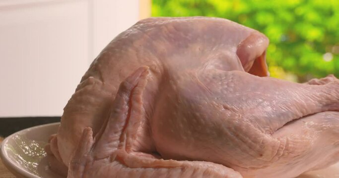 Close up of a whole, raw turkey
