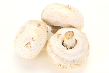 Raw Champignon heap for cooking