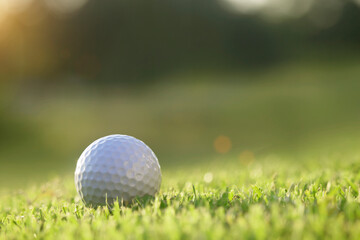 golf ball is on a green lawn in a beautiful golf course