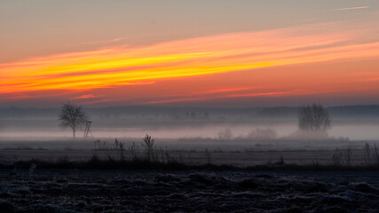 Rzeka Narew o poranku - Narwiański Park Narodowy, Podlasie, Polska