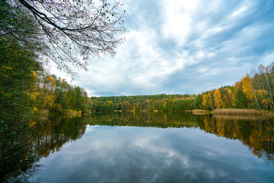 Colourful trees refelcting on the water surface of Papensee Lake in Liebenberg, Loewenberger Land, on bright autumn day