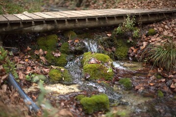 NATURALEZA