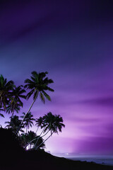 Night view of palm trees near the Indian Ocean in the city of Galle. Sri Lanka.
