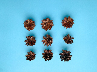 Pine cones of different sizes on a light blue background. Associations with the holiday, New Year and Christmas.