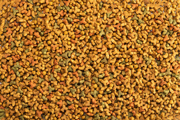 Animal food as a background. Lots of dry pet food. Healthy pet