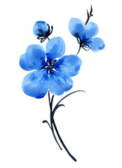 Fototapeta na wymiar Watercolor illustration of blue flower