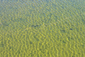 Resol sobre agua marina