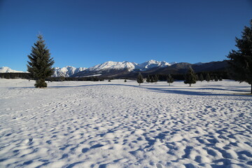 Cansiglio plateau covered with snow, Italy