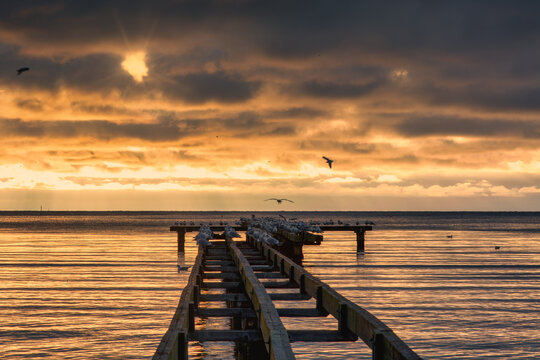 A beautiful golden sunset over an old boardwalk. Photo from Hallevik, Blekinge county, Sweden