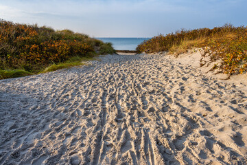 Footprints on a sandy beach. Photo from Lomma Beach, Scania county, Sweden