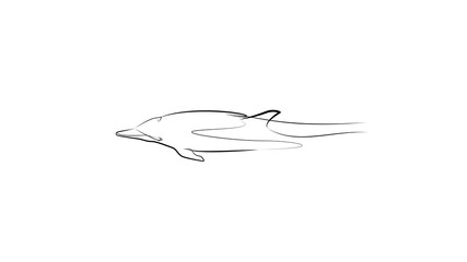 Dolphin in water by one line. Black line vector illustration on white background