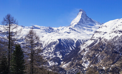 Fototapeta na wymiar Matterhorn im Winter, mit Bäumen im Vordergrund.