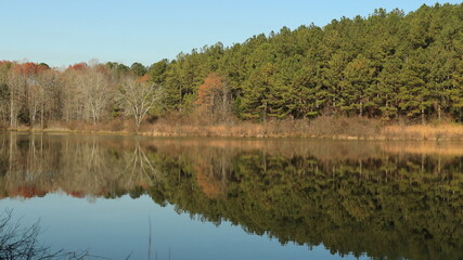 Trees reflecting in a calm lake on a sunny winter day; diminishing view
