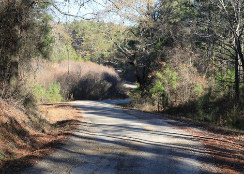 Narrow Gravel Road Thru Tall Grass In Rural Mississippi In Late Fall; Concepts Of Open Road, Possibilities And Freedom
