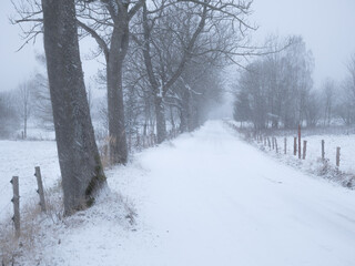 Dangerous mountain asphalt road during heavy snowfall