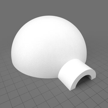 Igloo