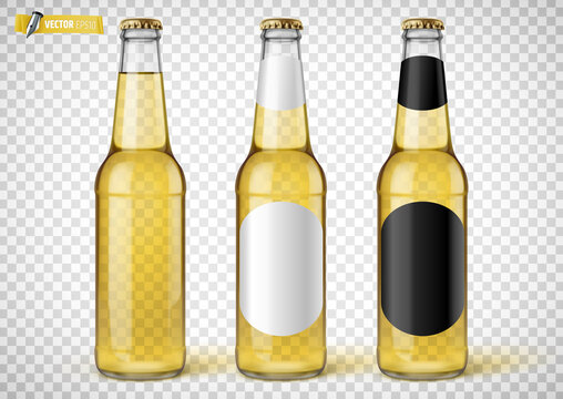 Bouteilles de bière vectorielles sur fond transparent