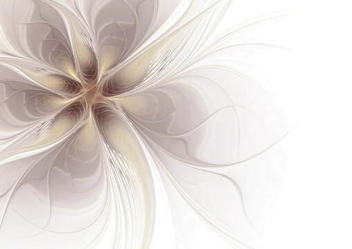 Fototapeta Abstract fractal beige flower on white background