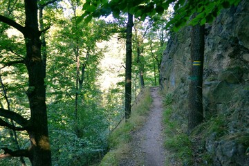 Ścieżka Hochbergów w Parku Książańskim na Dolnym Śląsku, poniżej Zamku Książ.  - obrazy, fototapety, plakaty