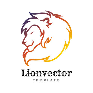 Lion shield logo design template. Lion head logo. Element for the brand identity, illustration.