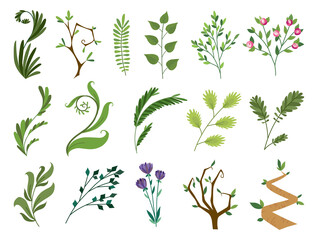 designer elements set collection of green forest fern, tropical green eucalyptus greenery art foliage natural leaves herbs, rose, flowers in watercolor style. Illustration for design.