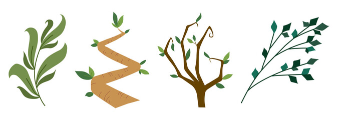 designer elements set collection of green forest fern, tropical green eucalyptus greenery art foliage natural branch, leaves herbs in watercolor style. Illustration for design.