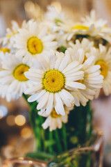 Bouquet of daisies on colorful background. Close-up. Macro.