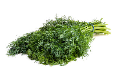 Bunch of fresh green dill isolated on white
