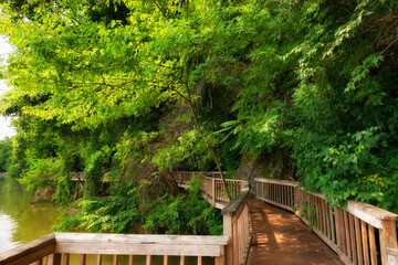 Ijam Nature Park Boardwalk along the Tennessee River