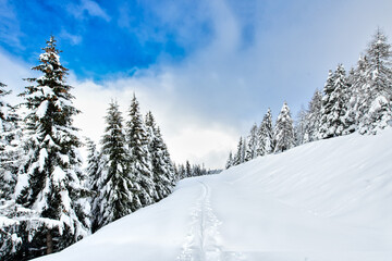 Fototapeta na wymiar Ski touring track after snowfall in an idyllic place